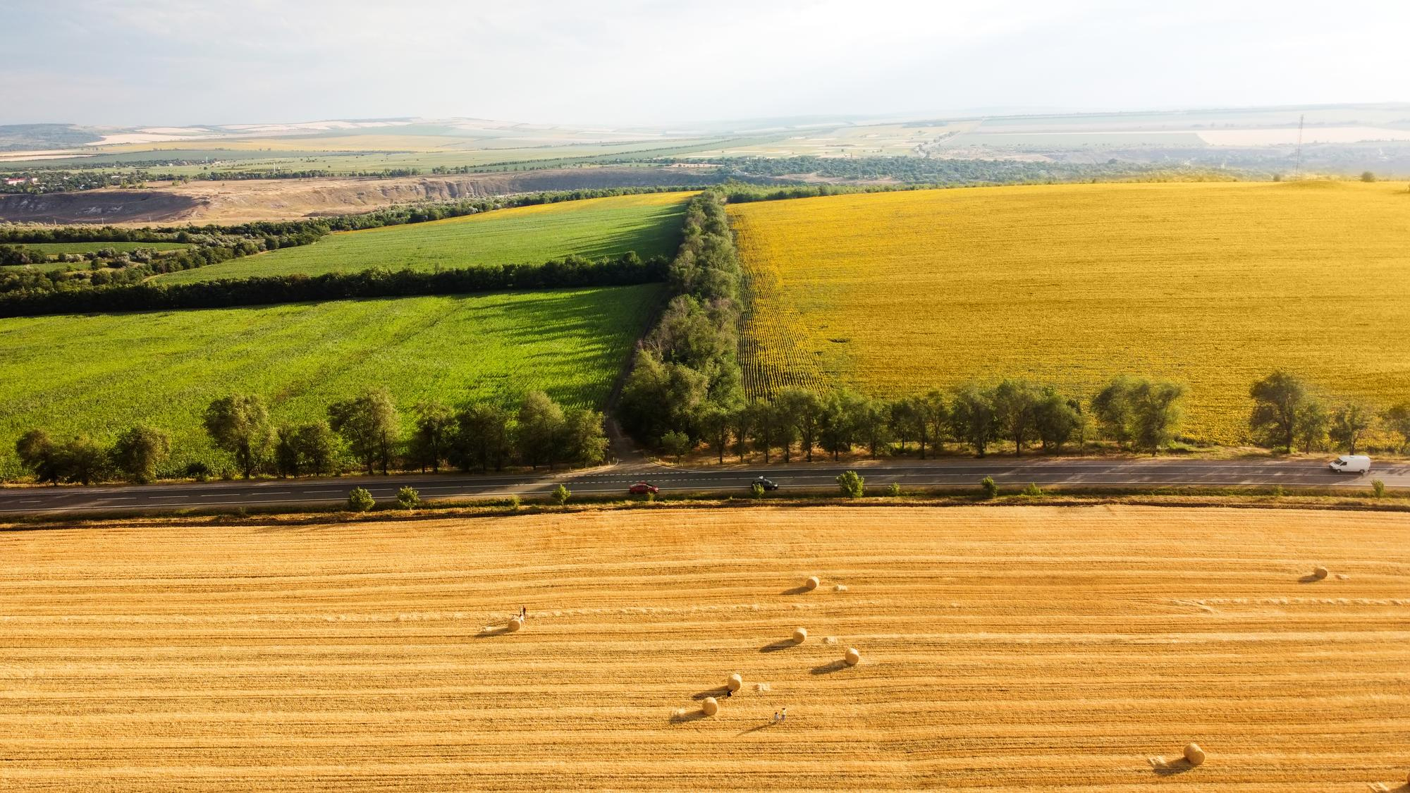 Agricultural fields